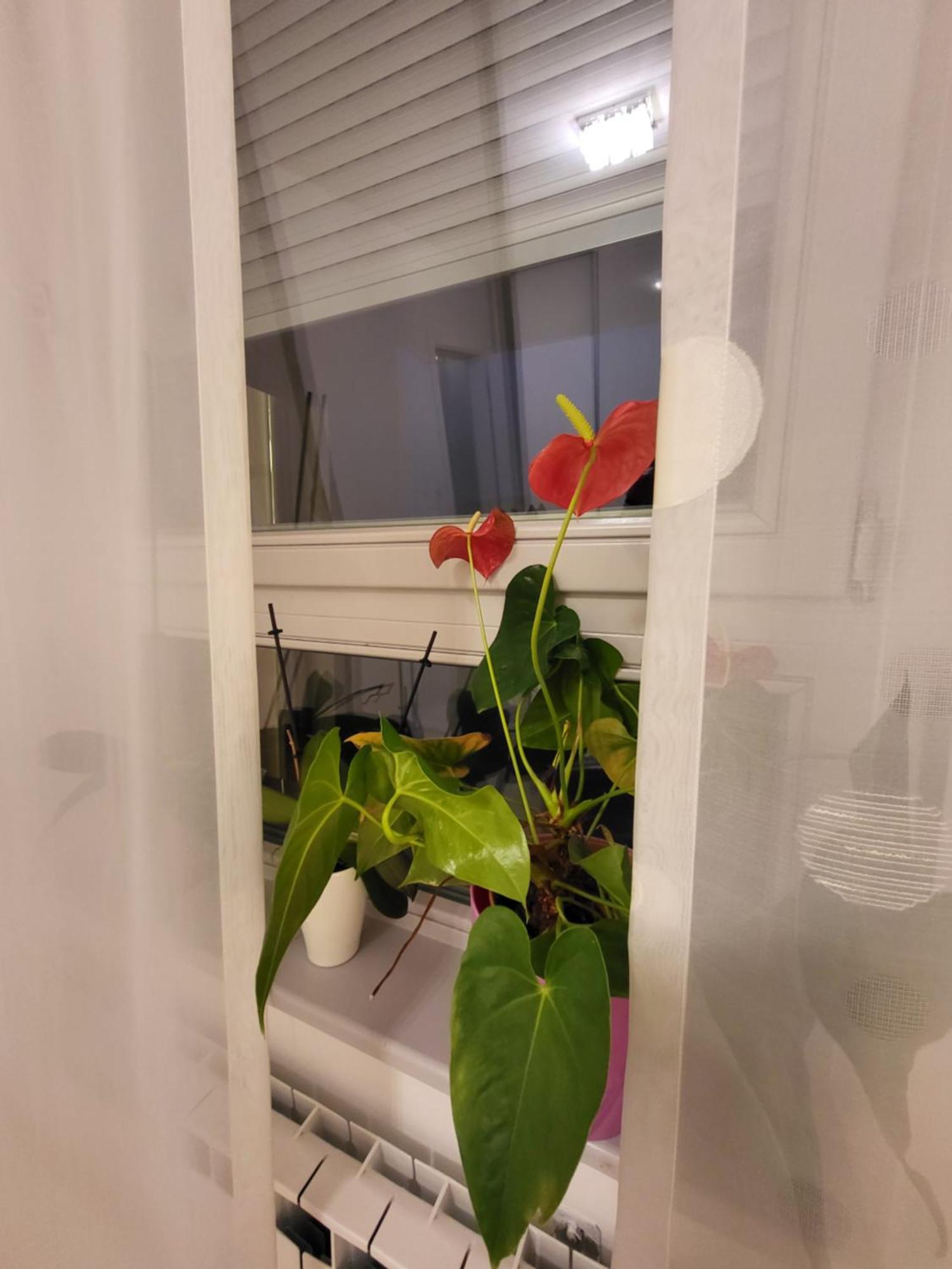 Apartman Jarun Lake Lux Загреб Екстериор снимка