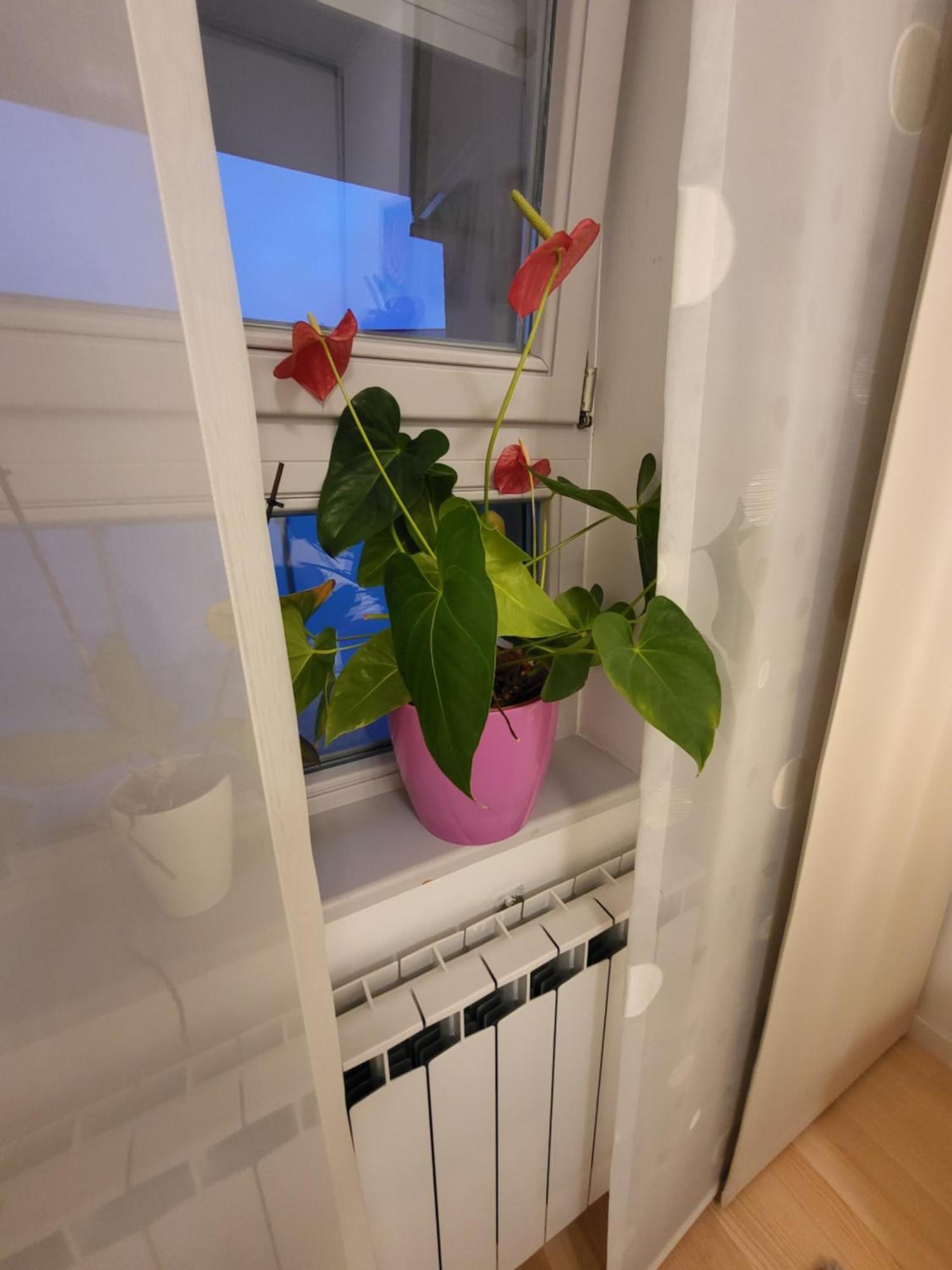 Apartman Jarun Lake Lux Загреб Екстериор снимка